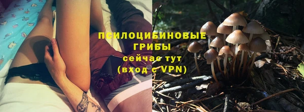 ешки Абинск